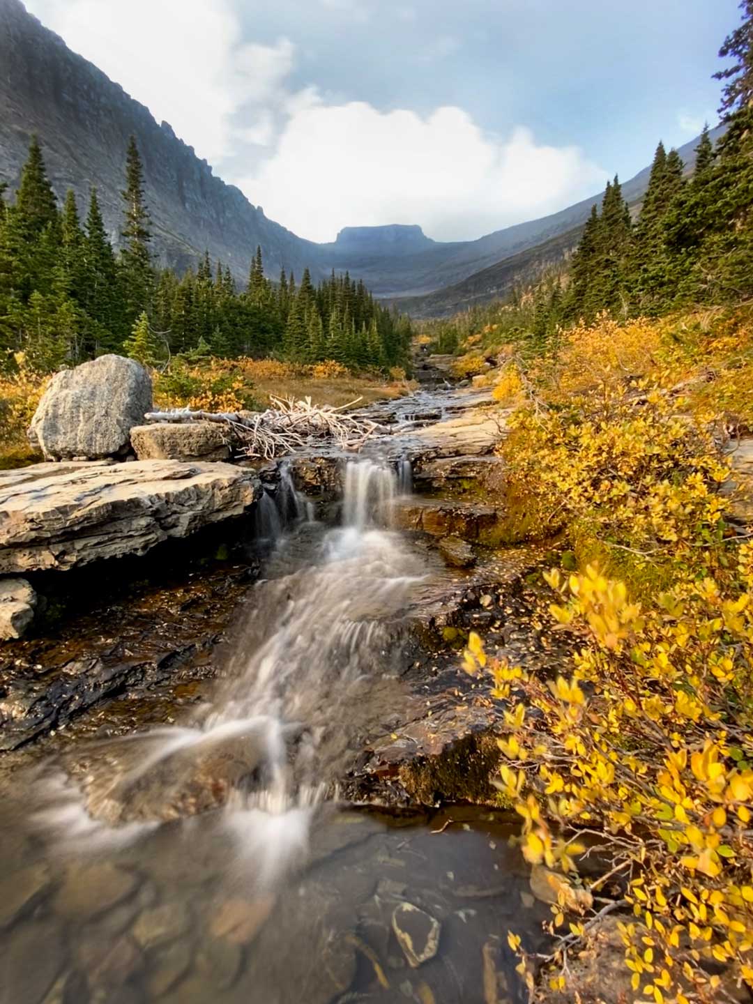 Lunch Creek Falls in Glacier National Park
