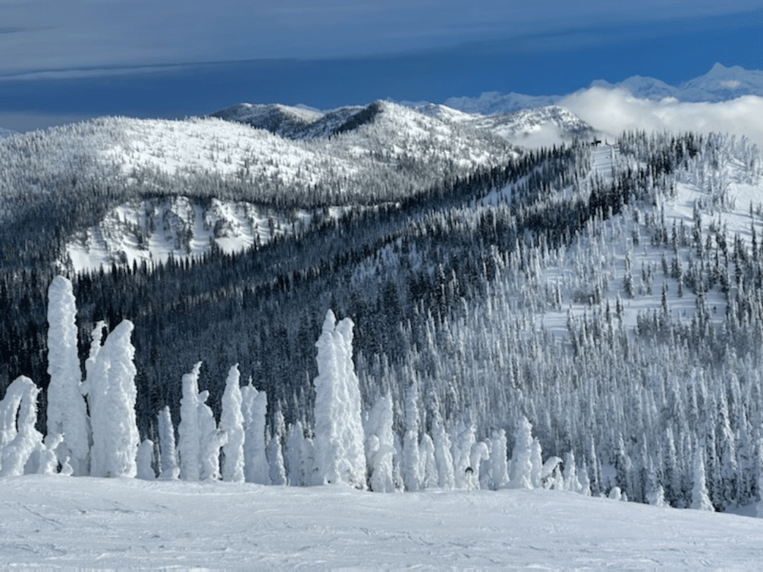 a snowy view from whitefish mountain resort