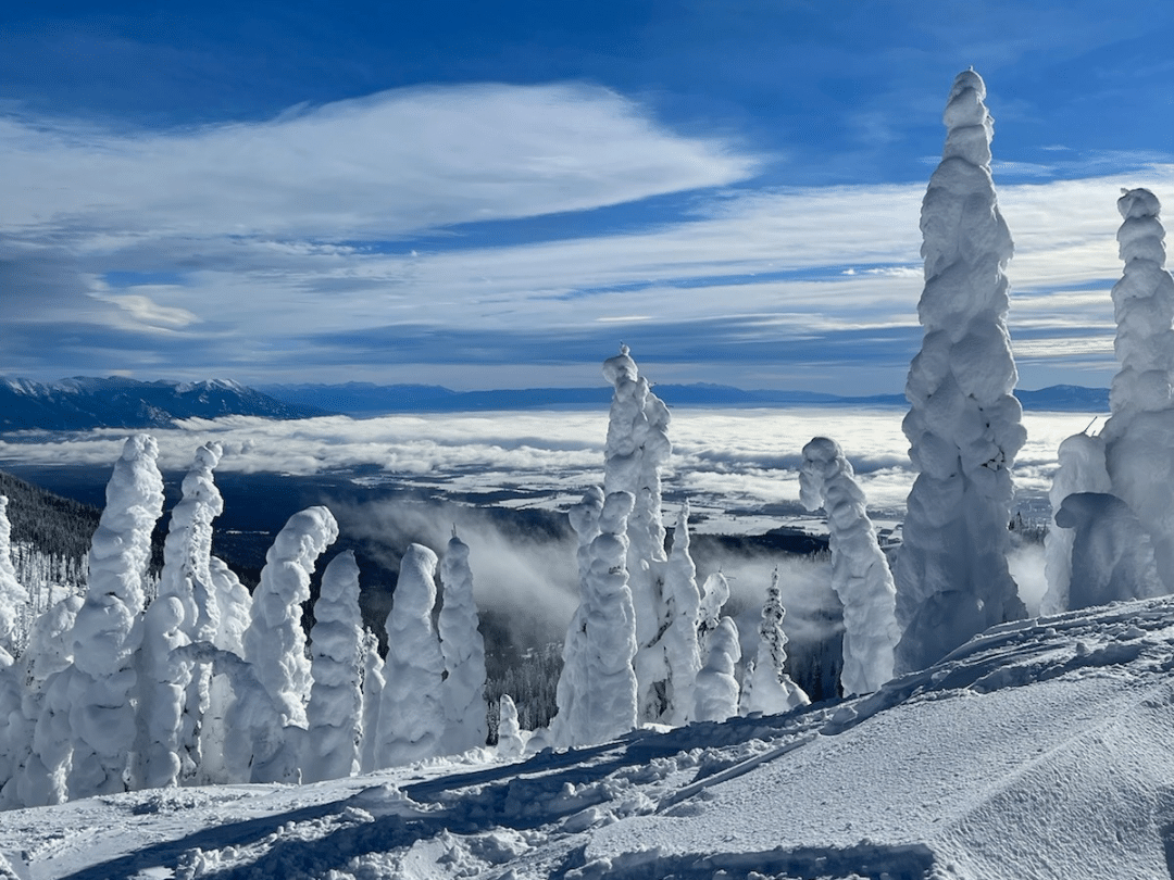 snow covered trees and a view of a foggy valley at whitefish mountain resort