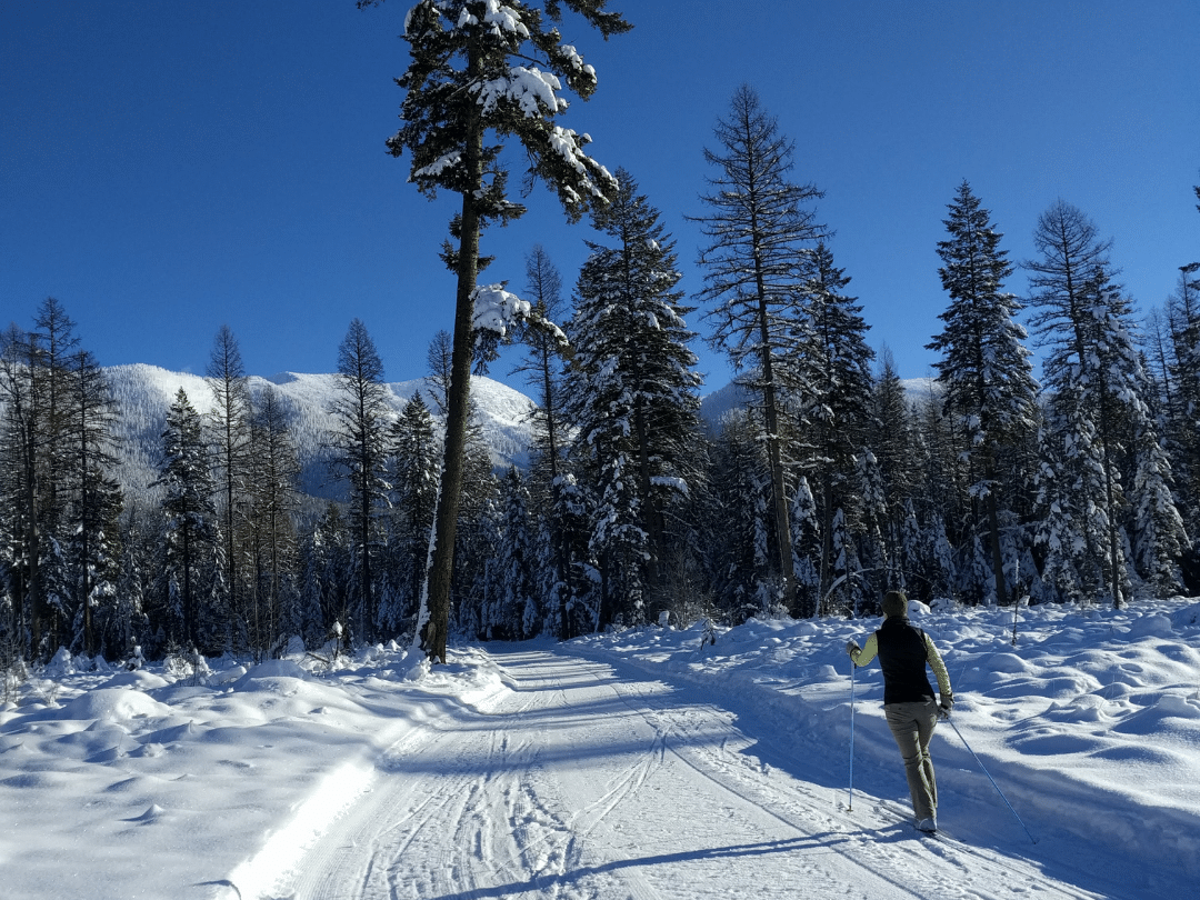 cross country skiier on a wintery trail with blue ski, trees, and snow-covered mountains